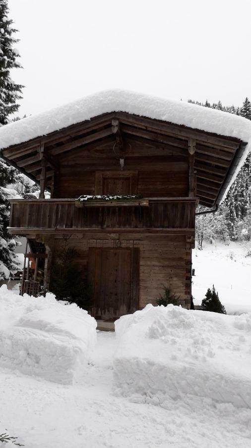 Nieslerhof Villa Mayrhofen Bagian luar foto